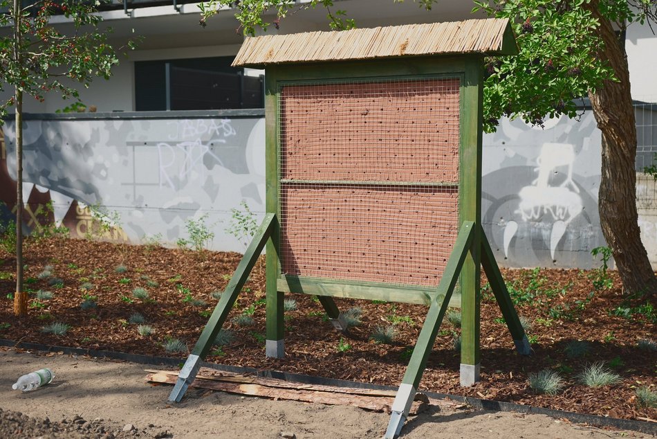 Łódź, skwer Kunki, dom dla owadów