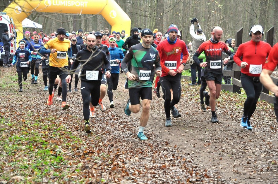 Łódź. Biegowy Dzień Kobiet 2026 w Parku na Zdrowiu w Łodzi. Ruszyły zapisy!