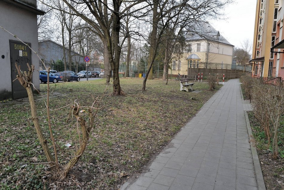 Łódź. Ulica Skrzywana w Łodzi będzie jeszcze zieleńsza! Nowy skwer w ramach Budżetu Obywatelskiego Łódź
