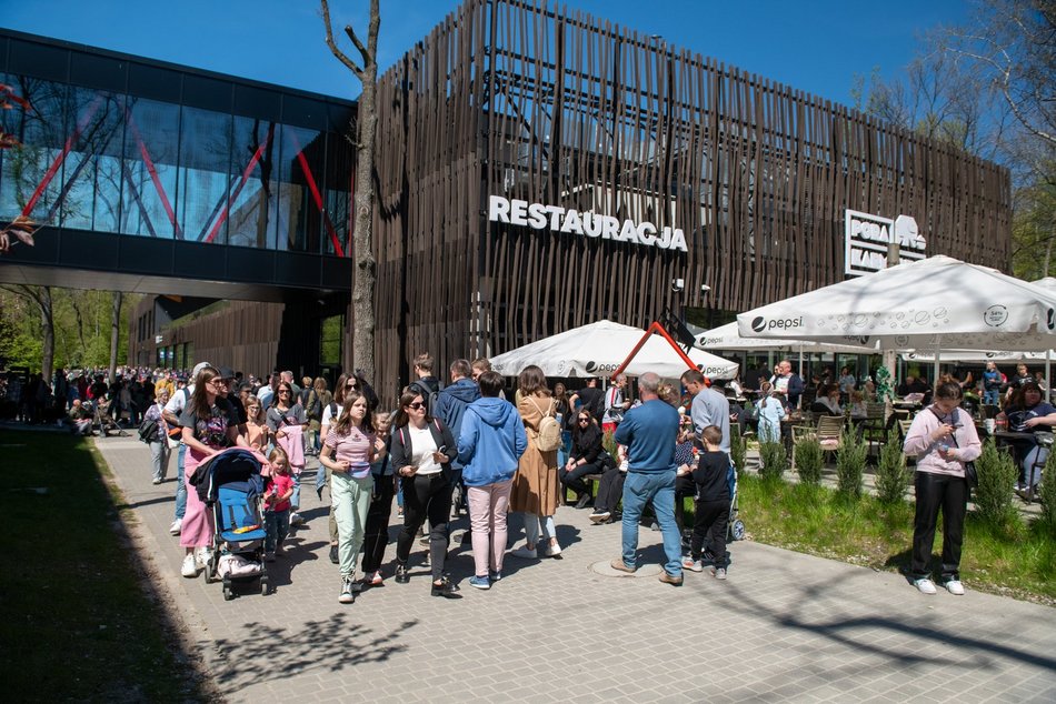 Łódź. Złap słońce i witaminę D w Orientarium Zoo Łódź. Wiosenny weekend z masą atrakcji