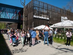 Łódź. Złap słońce i witaminę D w Orientarium Zoo Łódź. Wiosenny weekend z masą atrakcji