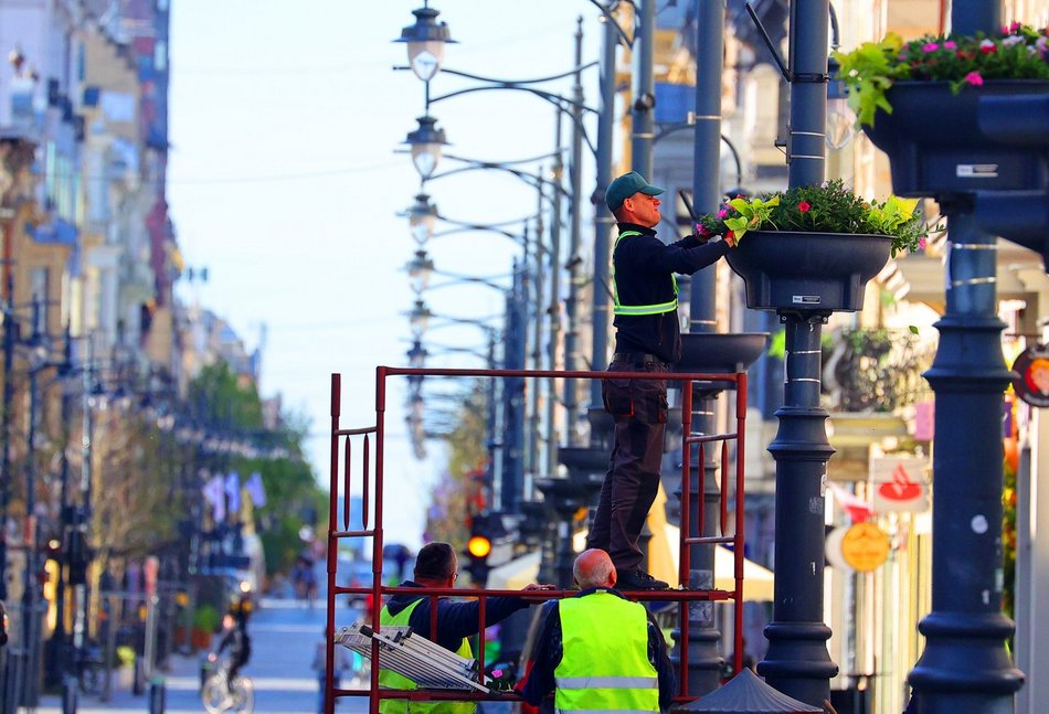 Łódź. Wieszanie kwiatów na ul. Piotrkowskiej w Łodzi