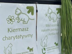 Łódź. Weź roślinkę, nakarm psinkę. I kotka też! Szlachetna akcja Uniwersytetu Łódzkiego