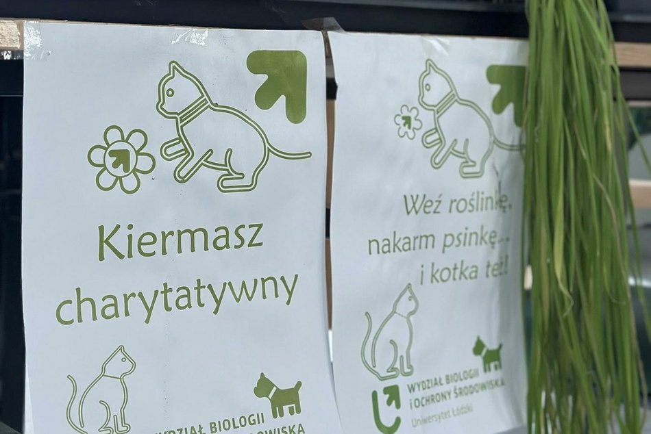 Łódź. Weź roślinkę, nakarm psinkę. I kotka też! Szlachetna akcja Uniwersytetu Łódzkiego