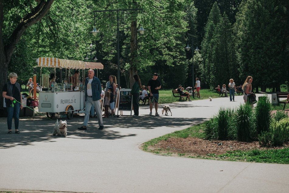 Łódź. Park na Zdrowiu
