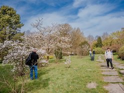 Ogród Botaniczny w Łodzi otwarty