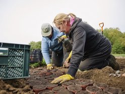 Wielkie sadzenie w Ogrodzie Botanicznym w Łodzi