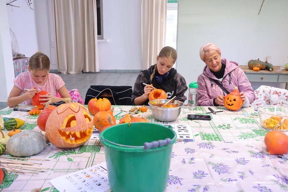 Wycinanie dyń w Ogrodzie Botanicznym w Łodzi