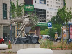 Plac przy kawiarni Starbucks w centrum Łodzi odżywa! Tyle tam zieleni!