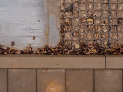 Kolejny zielony parking powstaje w Łodzi