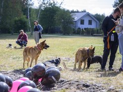 Psiejski piknik rodzinny na Uroczysku Lublinek w Łodzi. Co to była za zabawa!