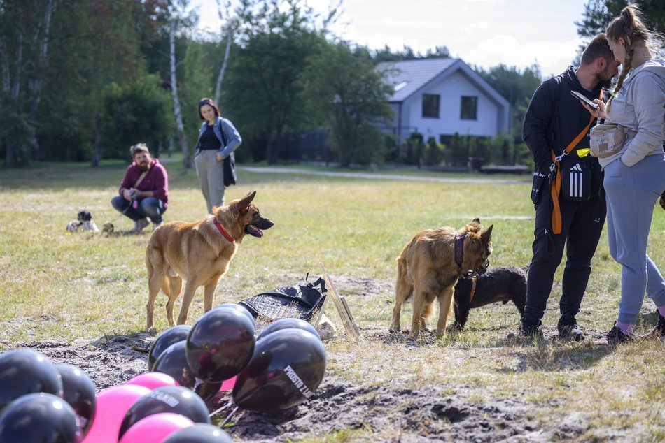 Psiejski piknik rodzinny na Uroczysku Lublinek w Łodzi. Co to była za zabawa!