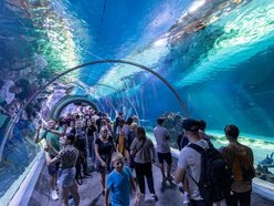 Łódź. O ochronie przyrody w Orientarium Zoo Łódź. Międzynarodowa konferencja EAZA 2025