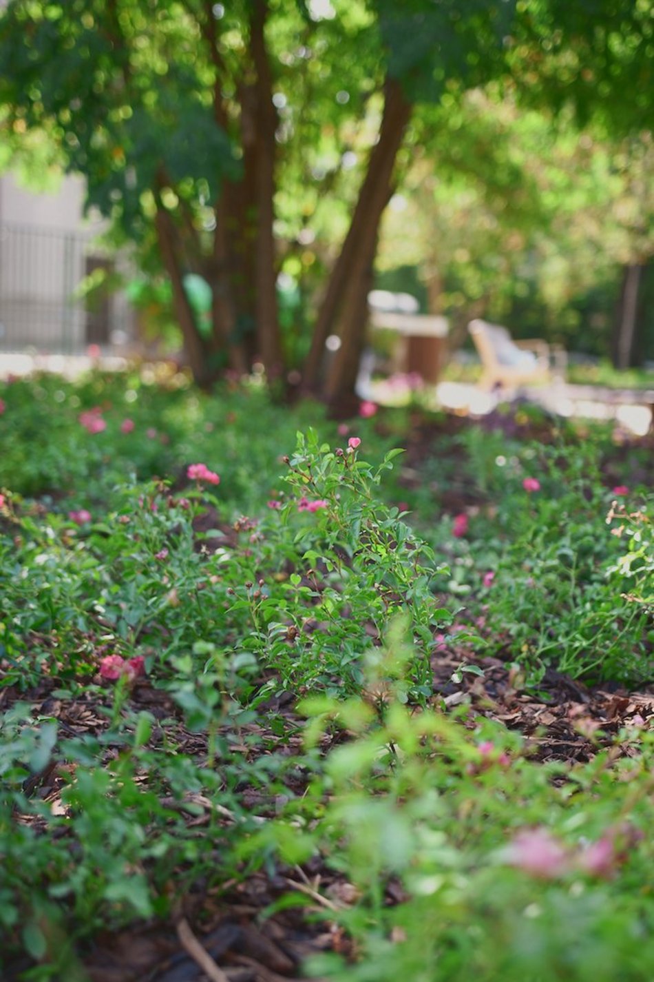 Łódź. Takiego skweru w Łodzi jeszcze nie było! Siłownia, park sensoryczny i plac zabaw już gotowe