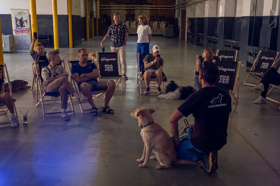 Łódź. Gastro dla schroniska w Łodzi. Tak się łączy miłość do jedzenia, muzyki i zwierząt!