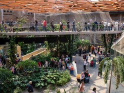 Łódź. Andrzejki w Orientarium Zoo Łódź. Masz na imię Andrzej? Wchodzisz za darmo!