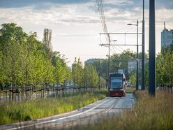 Łódź. MPK Łódź to wygoda