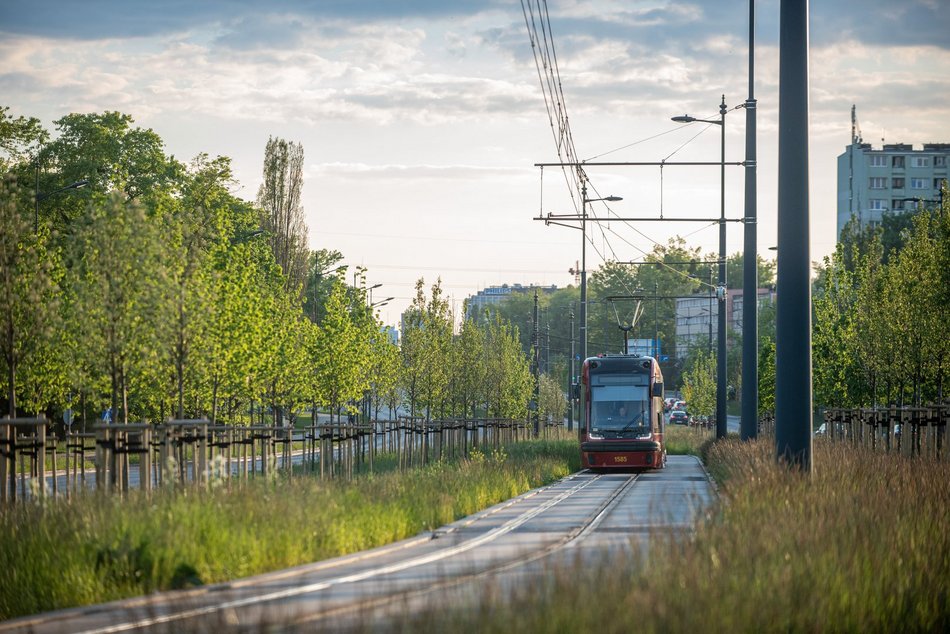 Łódź. MPK Łódź to wygoda