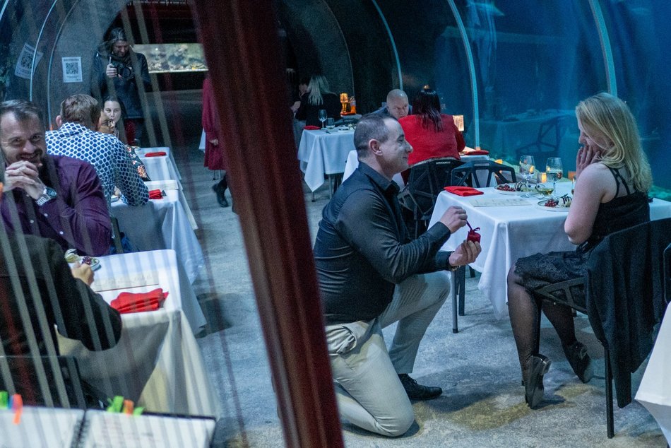 Łódź. Walentynki w Orientarium Zoo Łódź. Przysmaki, koncert na harfie i... zaręczyny