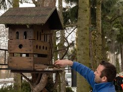 Łódź. Cztery kąty dla wiewiórek i ptaków z Łodzi! Pracownicy ZWiK Łódź zbudowali pomysłowy karminik