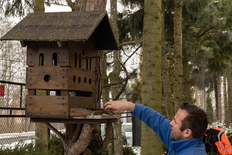 Łódź. Cztery kąty dla wiewiórek i ptaków z Łodzi! Pracownicy ZWiK Łódź zbudowali pomysłowy karminik