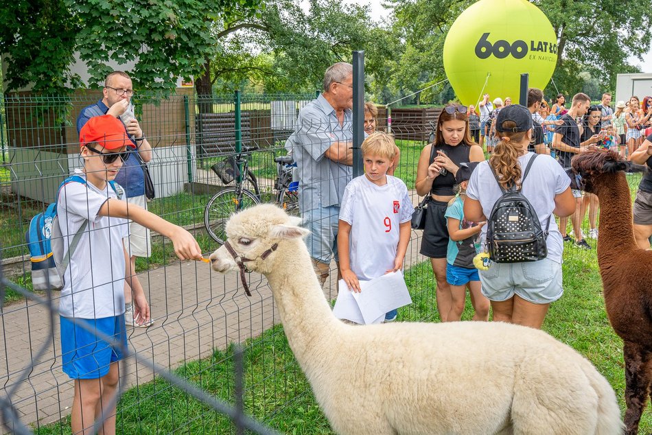 Piknik rodzinny na Stawach Jana