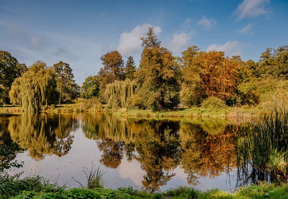 Rzeka Sokołówka w parku Julianowskim