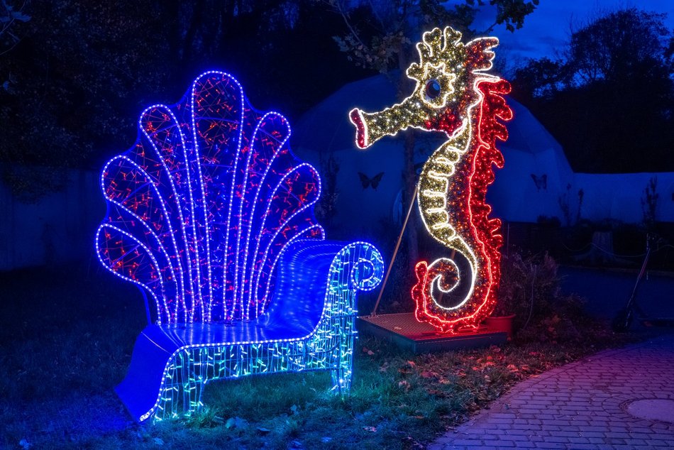 Park Miliona Świateł w Łodzi otwarty! Magiczne zwierzęta opanowały Orientarium Zoo Łódź