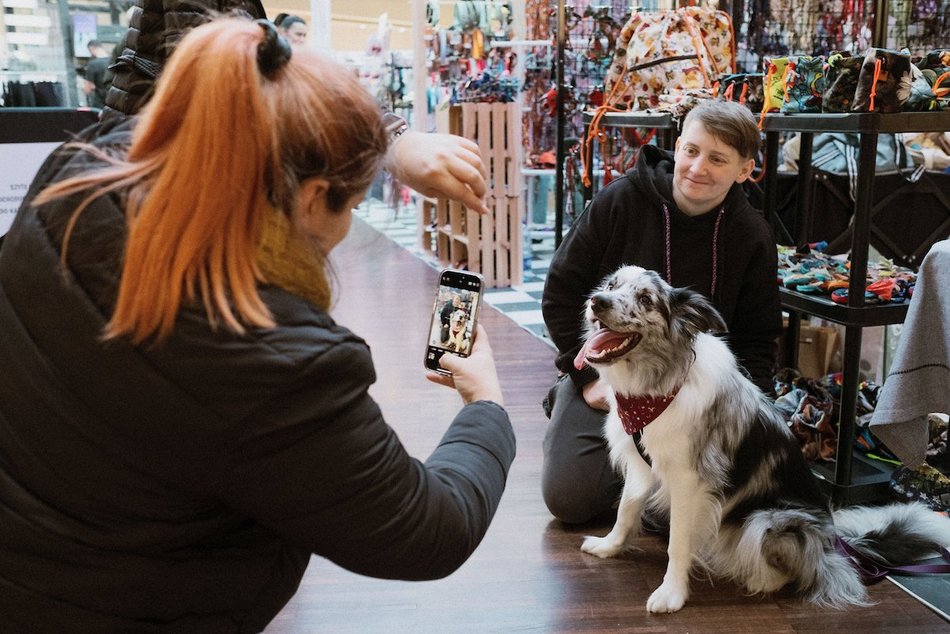 Łódź. Psi Targ w Manufakturze