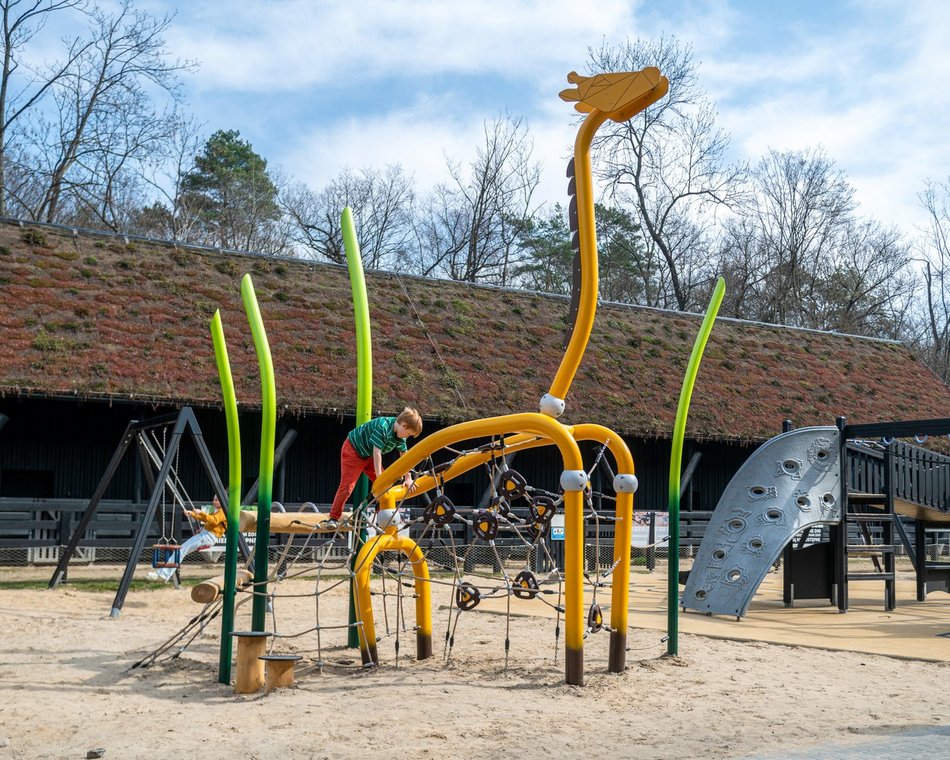 Łódź. Nowa żyrafa w Orientarium Zoo Łódź. Musisz ją poznać!