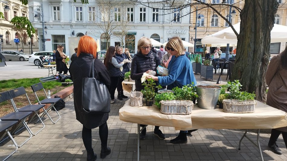 Ekologiczne warsztaty i rozdawanie sadzonek w pasażu Rubinsteina