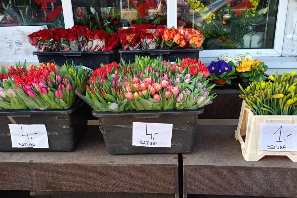 Łódź. Ceny kwiatów w Łodzi. Rynki, stragany, kwiaciarnie i supermarkety