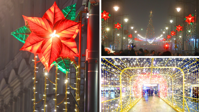 Iluminacje świąteczne w Łodzi. Zobacz najpiękniejsze ozdoby na Piotrkowskiej i placu Wolności [ZDJĘCIA]