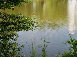 Łódź. Co żyje w rzekach w Łodzi? Dr hab. Mariusz Tszydel wie o tym bardzo dużo!