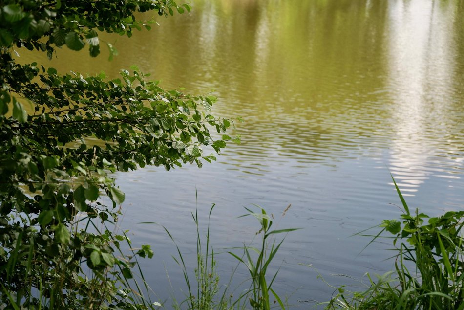 Łódź. Co żyje w rzekach w Łodzi? Dr hab. Mariusz Tszydel wie o tym bardzo dużo!