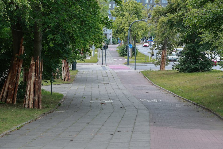 Łódź. Remont drogi rowerowej na alei Palki w Łodzi. Podróż do Lasu Łagiewnickiego będzie przyjemnością!