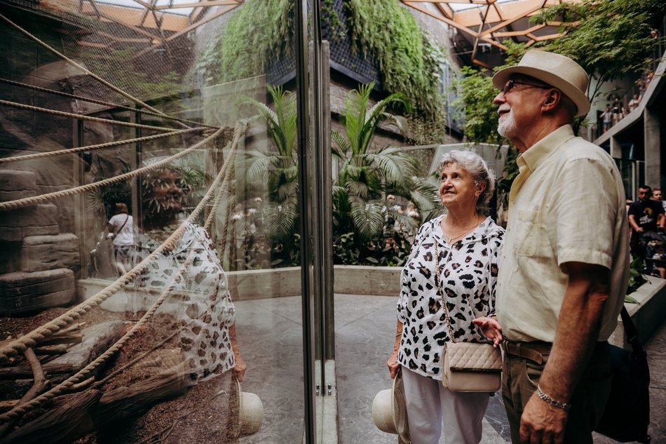 Łódź. Senioralia 2026 w Łodzi