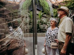 Łódź. Senioralia 2026 w Łodzi