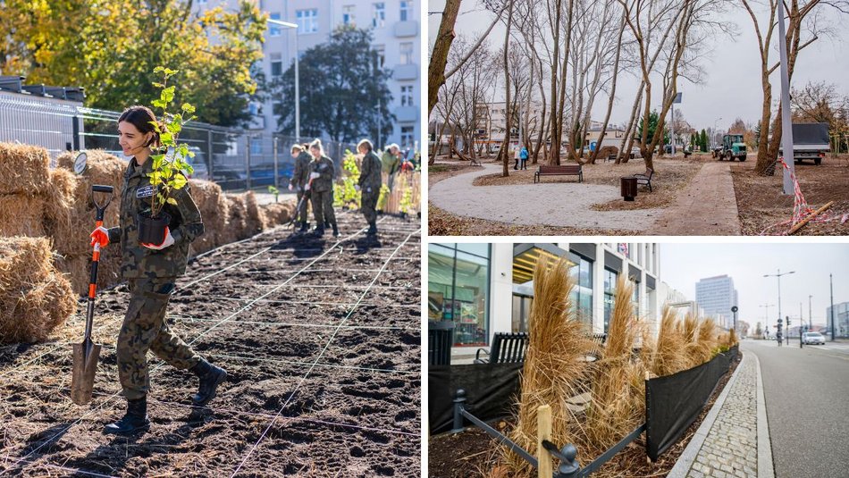 Łódź. Te miejsca w Łodzi zazielenią się po raz pierwszy. Nic tylko czekać na wiosnę!