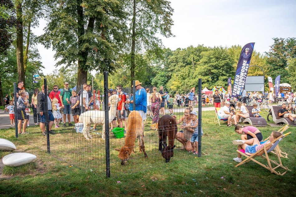 Piknik w parku na Młynku