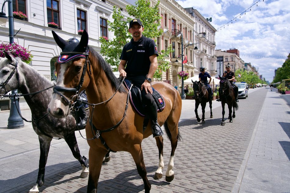 Widowiskowy turniej Sekcji Konnej Straży Miejskiej w Łodzi