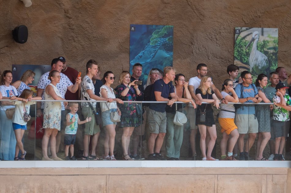 Łódź. Dzień Słonia w Orientarium Zoo Łódź. Tłumy łodzian i mnóstwo dobrej zabawy