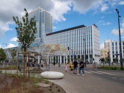 Przy Stajni Jednorożców w Łodzi robi się zielono! Widać już efekty odbetonowania