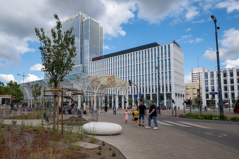 Przy Stajni Jednorożców w Łodzi robi się zielono! Widać już efekty odbetonowania