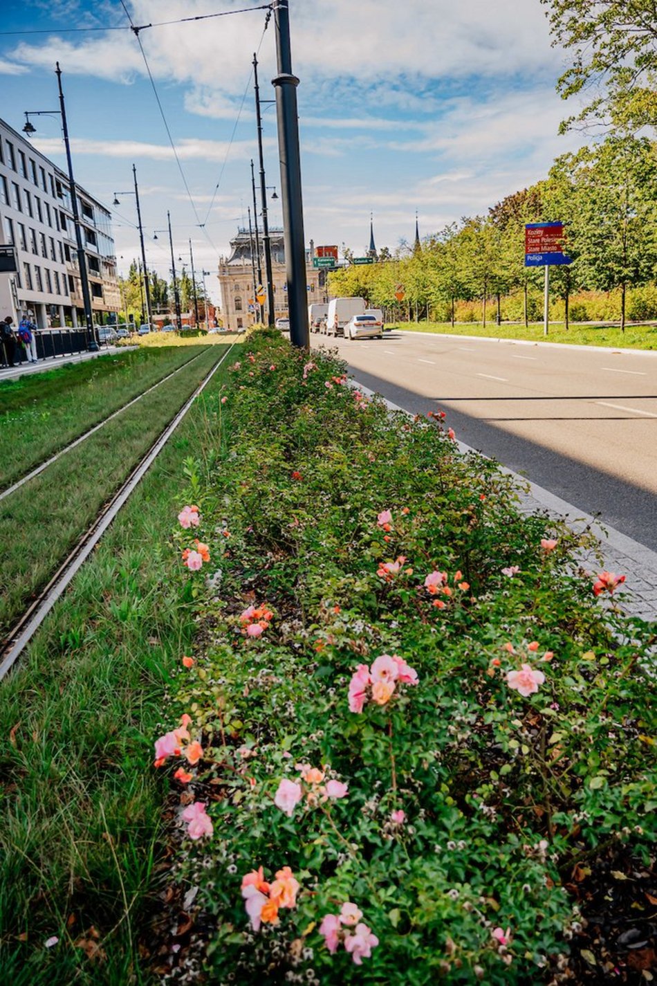 Łódź. Wrzesień w Łodzi potrafi zaskoczyć! Miasto wciąż tętni kolorami i zapachem kwiatów