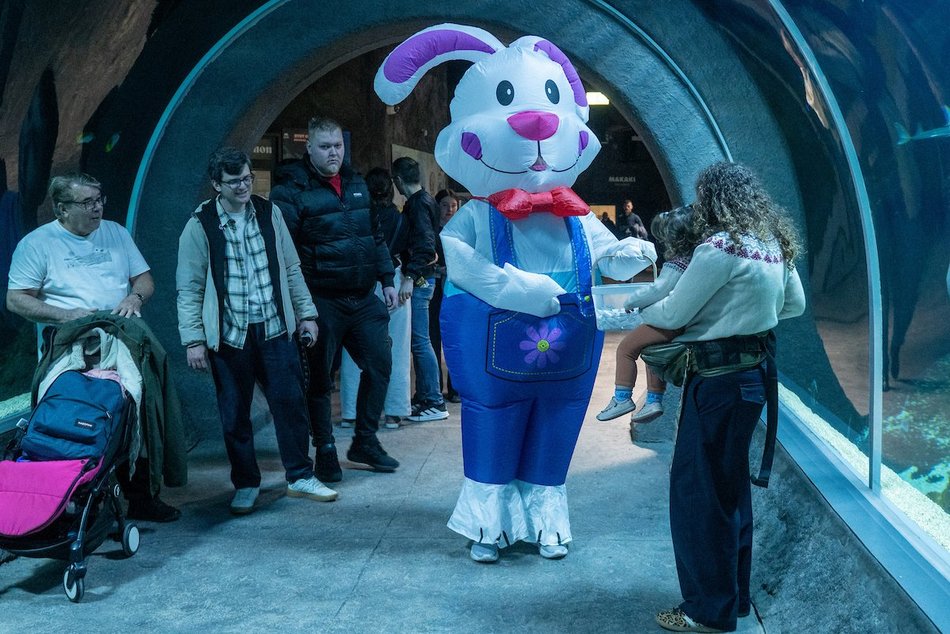 Łódź. Wielkanocny zając w Orientarium Zoo Łódź