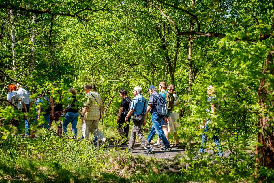 grupa ludzi spaceruje w naturze