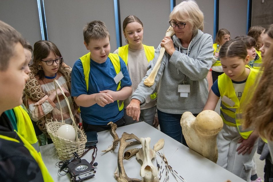 Łódź. Orientarium Zoo Łódź z masą atrakcji na ferie zimowe 2026 w Łodzi! Pokazy karmienia, edukacja i więcej