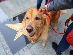 Parada kundelków w Łodzi 2025 przeszła ulicami. Skala słodyczy wysoka jak nigdy!