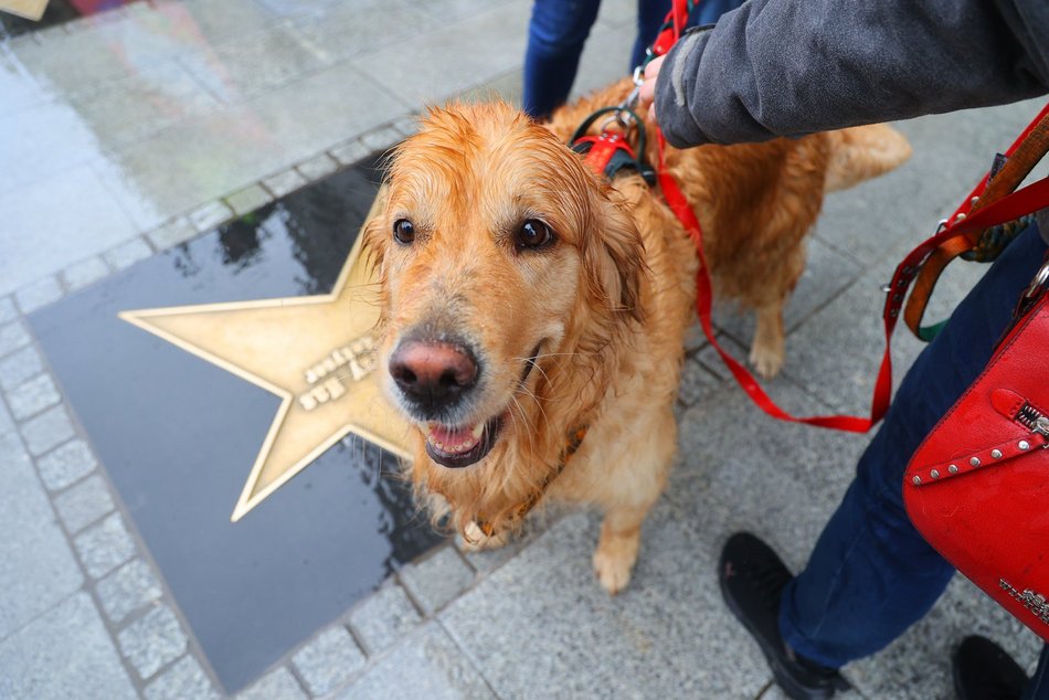 Parada kundelków w Łodzi 2025 przeszła ulicami. Skala słodyczy wysoka jak nigdy!